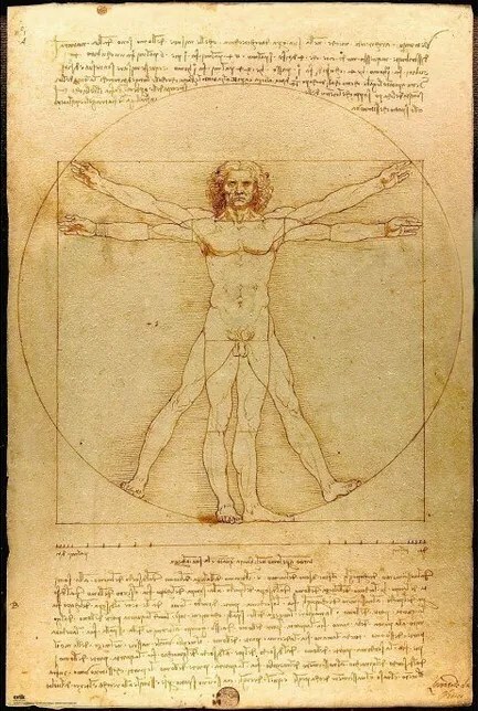 Αφίσα Ο Άνθρωπος του Βιτρούβιου, Leonardo Da Vinci