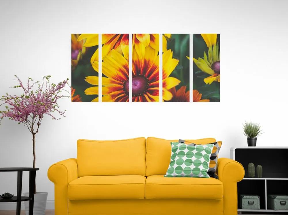 Εικόνα 5 μερών ελκυστικά δίχρωμα λουλούδια - 100x50