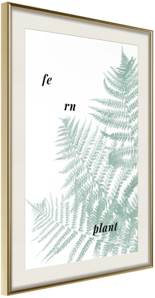 Αφίσα - Pale Green Fern - 20x30 - Χρυσό - Με πασπαρτού