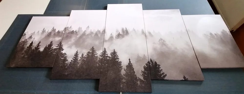 Εικόνα 5 μερών ομίχλη πάνω από το δάσος σε ασπρόμαυρο - 100x50