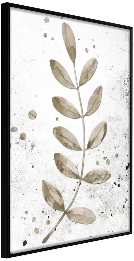 Αφίσα - Dried Twig - 30x45 - Μαύρο - Χωρίς πασπαρτού