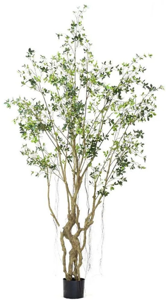 Τεχνητό Δέντρο Φίκος Microcarpa 7770-6 300cm Green Supergreens Polyethylene,Fabric