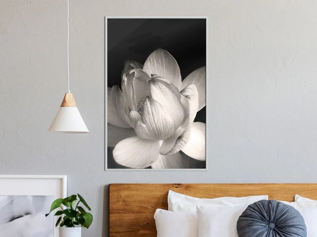 Αφίσα - Delicacy of a Flower - 20x30 - Μαύρο - Χωρίς πασπαρτού