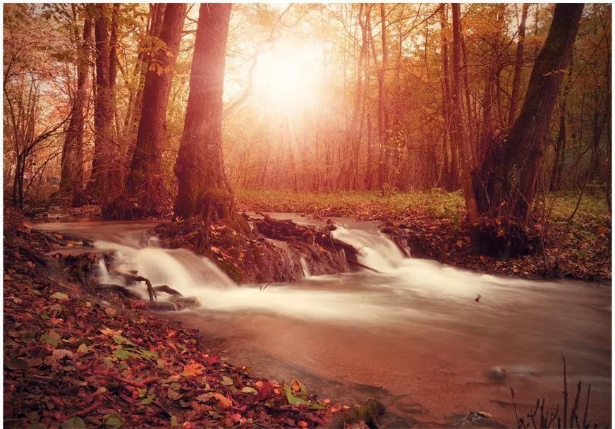 Αυτοκόλλητη φωτοταπετσαρία - Autumn Dreaminess - 245x175