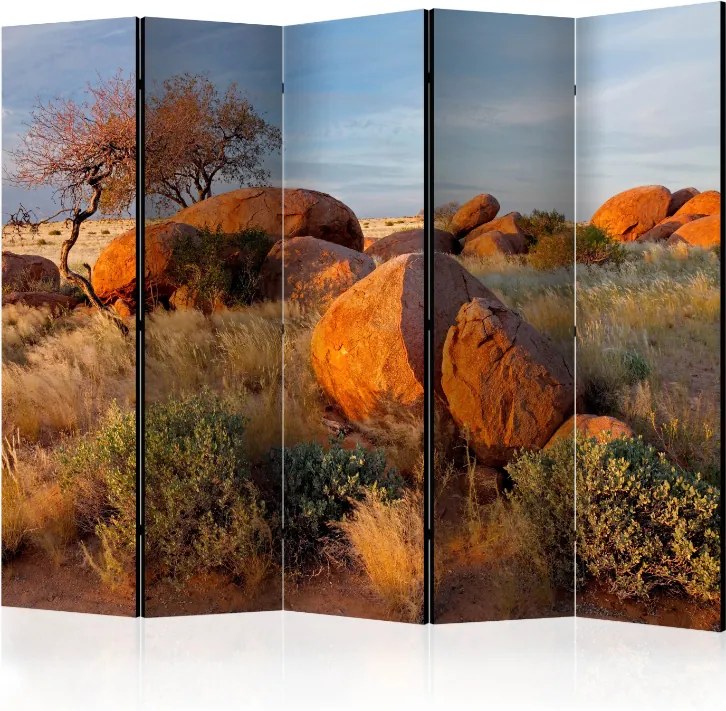 Διαχωριστικό με 5 τμήματα - African landscape, Namibia II [Room Dividers]