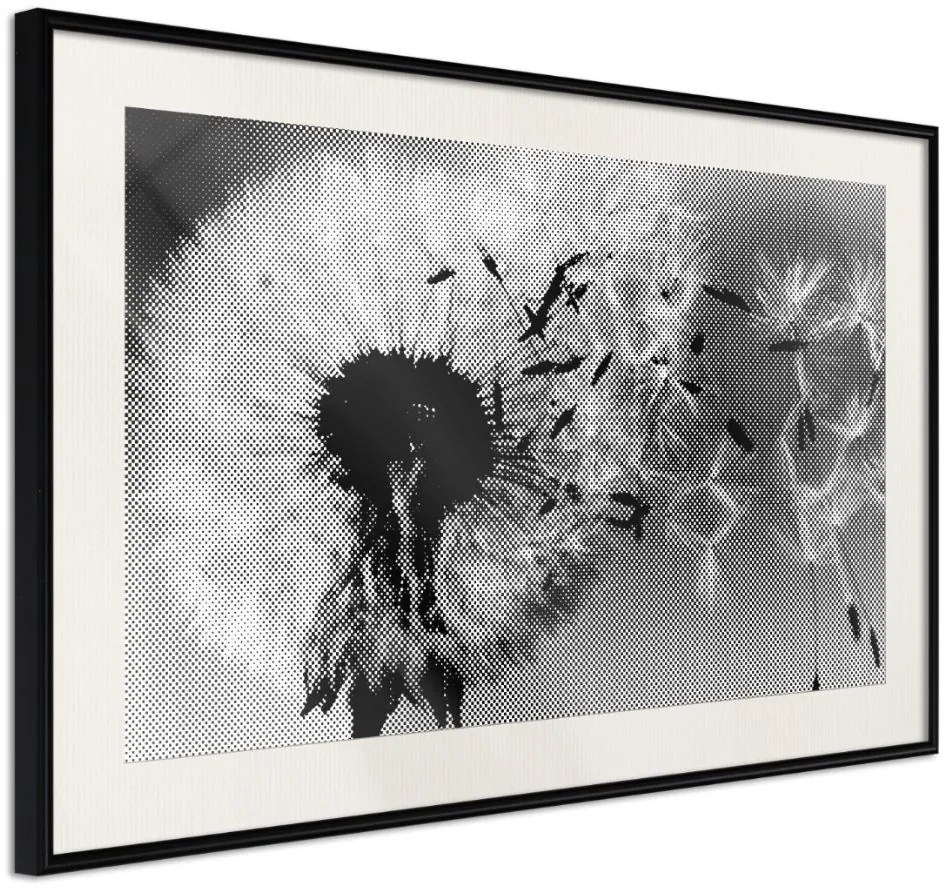 Αφίσα - Dandelion in the Wind - 60x40 - Μαύρο - Με πασπαρτού