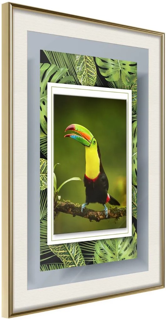 Αφίσα - Toucan in the Frame - 30x45 - Χρυσό - Με πασπαρτού