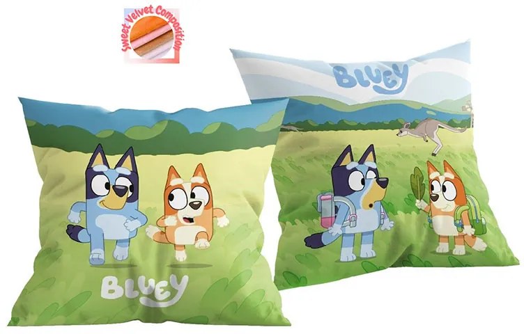 Διακοσμητικό Μαξιλάρι Βελουτέ 2 Όψεων (38x38) Dimcol Bluey 09