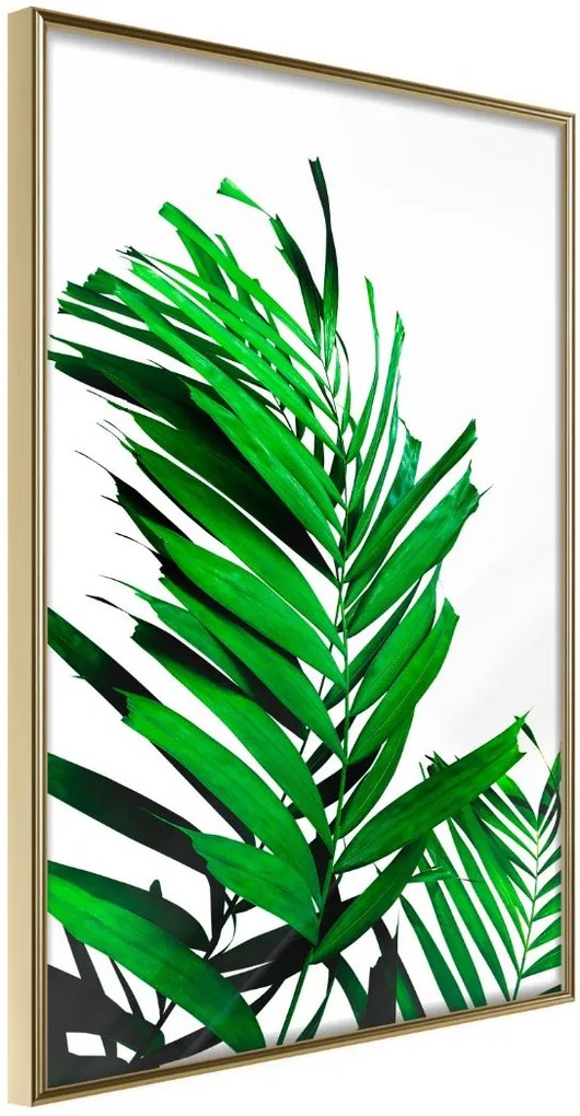 Αφίσα - Emerald Palm - 20x30 - Χρυσό - Χωρίς πασπαρτού