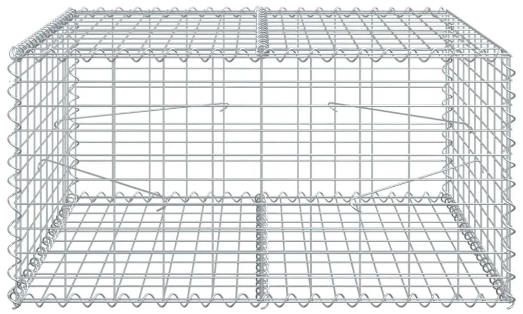 vidaXL Συρματοκιβώτιο με Κάλυμμα 100x100x50εκ. από Γαλβανισμένο Χάλυβα