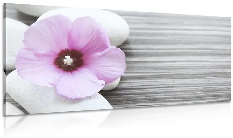 Εικόνα αλληλεπίδρασης λίθων και ροζ λουλουδιών - 100x50