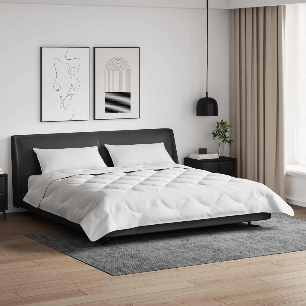 Πάπλωμα με μαξιλάρι 3 pcs Λευκό Μικροΐνες