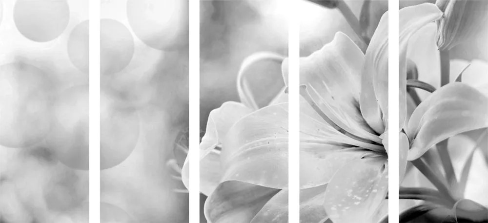 Εικόνα λουλουδιών κρίνων 5 τμημάτων σε αφηρημένο φόντο σε ασπρόμαυρο σχέδιο - 100x50