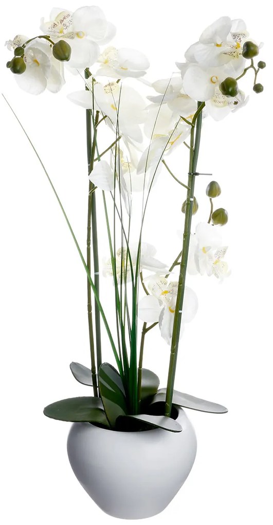Τεχνητό Λουλούδι Σε Γλάστρα (Φ47x56) A-S White Orchid 136510B