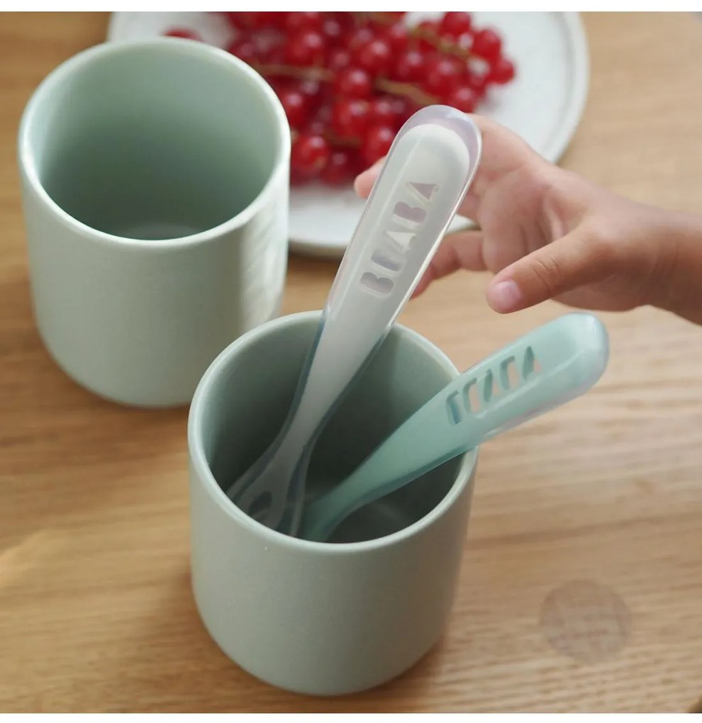 Κουτάλια σιλικόνης 1st stage (2 τεμ) με κουτί μεταφοράς Grey/Sage Green Béaba