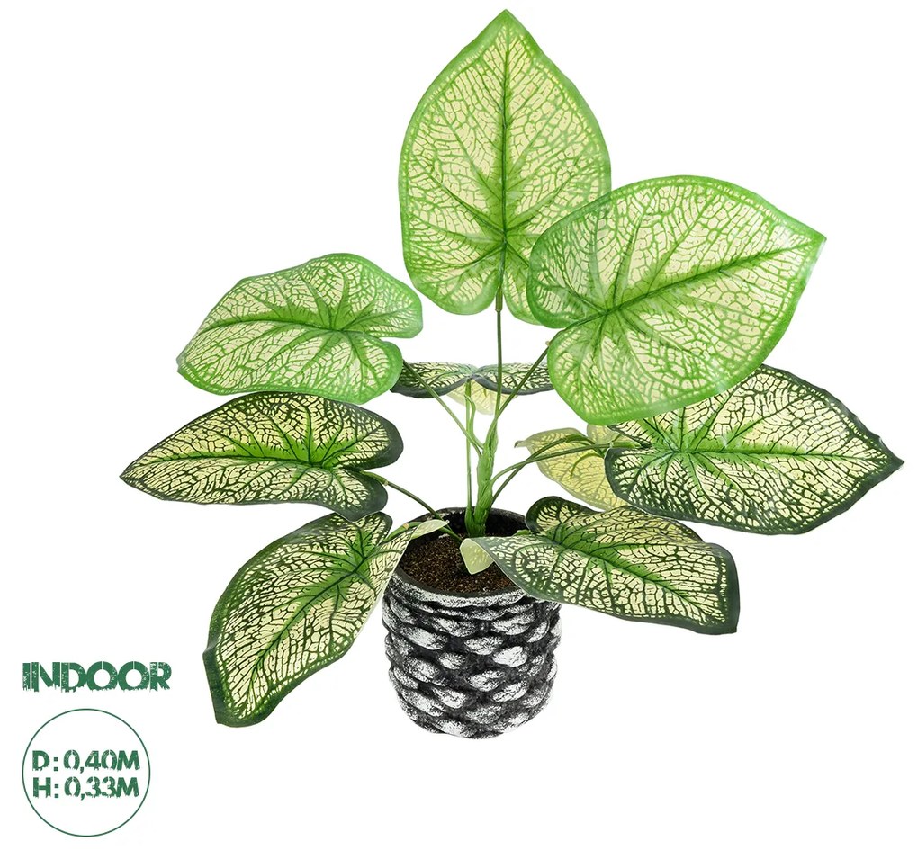 Artificial Garden CALADIUM 20889 Τεχνητό Διακοσμητικό Φυτό Τροπικό Φυτό Φ40 x Υ33cm