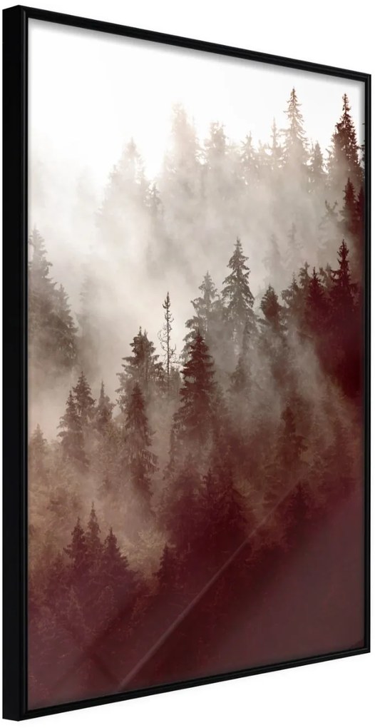 Αφίσα - Forest Fog - 20x30 - Μαύρο - Χωρίς πασπαρτού