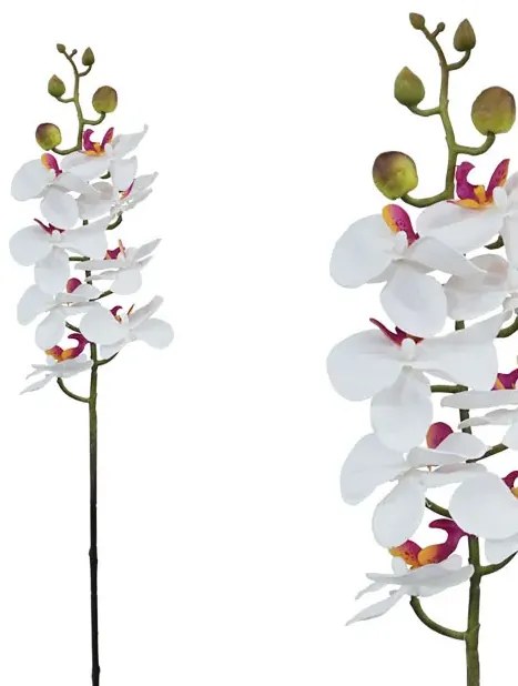 MarHome ΚΛΑΔΙ ΦΑΝΕΛΟΨ ΛΕΥΚΟ/ΡΟΖ Υ76cm.12/144KIB 00-2520-2 LEYK/ROZ