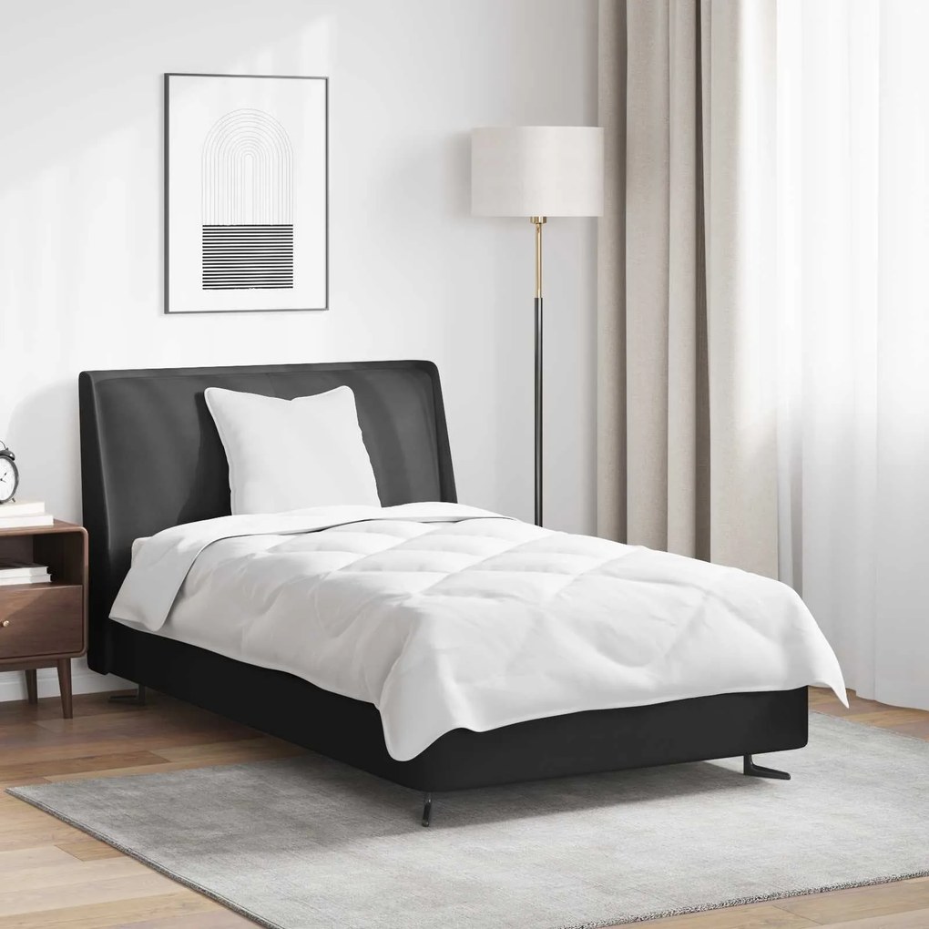 Πάπλωμα με μαξιλάρι 2 pcs Λευκό Μικροΐνες