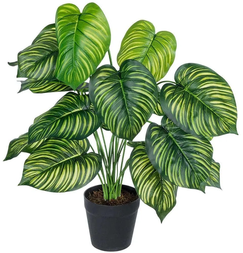 Τεχνητό Φυτό Calathea 20912 Φ55x75cm Green-Yellow GloboStar Πολυαιθυλένιο,Ύφασμα