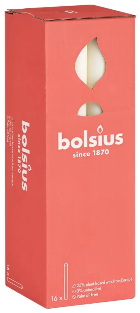Bolsius Κεριά Επιτραπέζια Shine 16 τεμ. Ελαφρύ Περλέ 27 εκ.