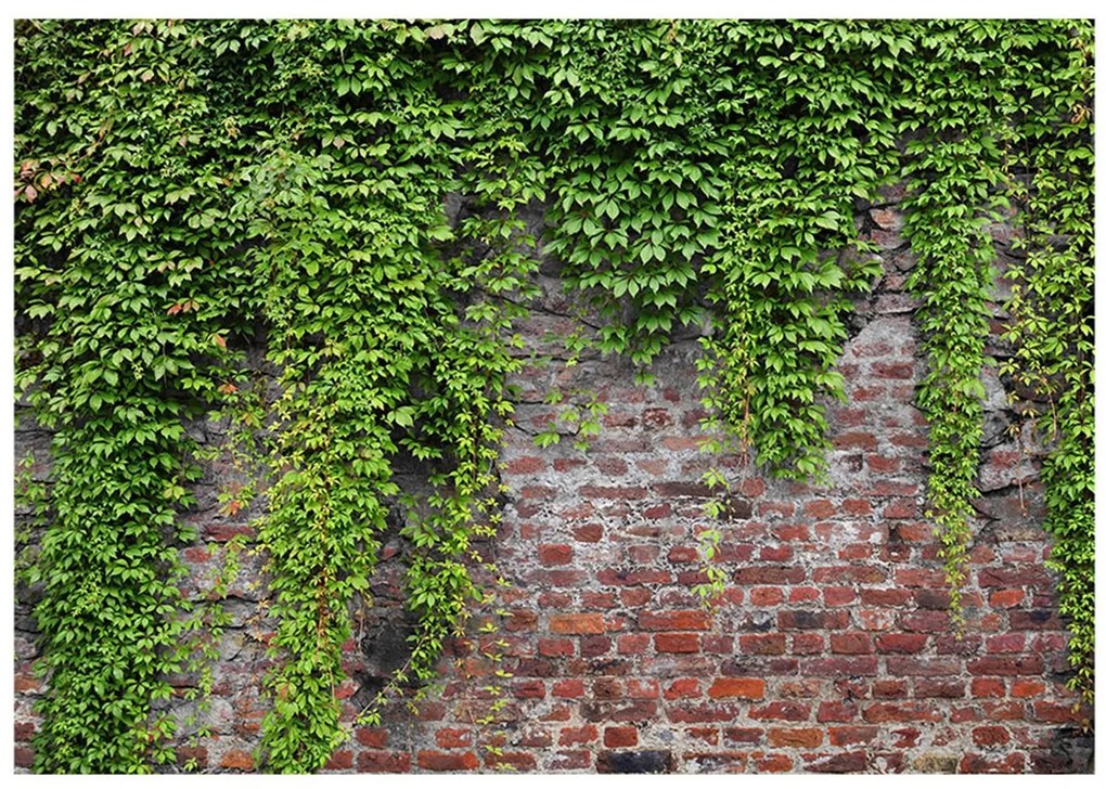 Φωτοταπετσαρία - Brick and ivy 400x280