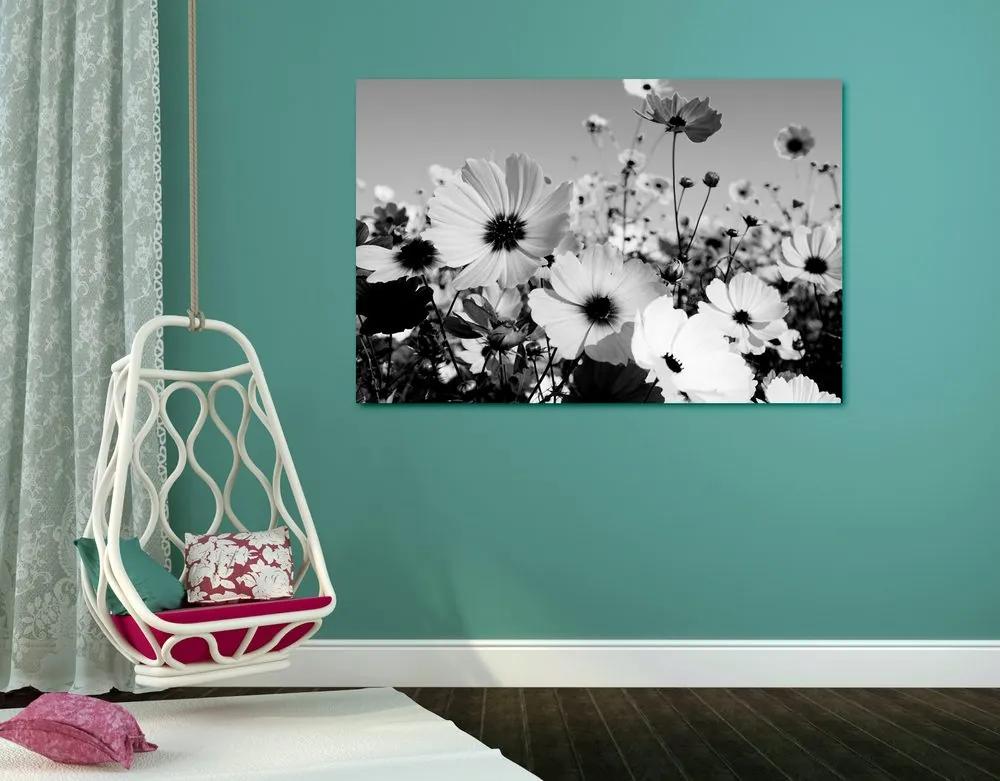 Εικόνα λιβάδι με ανοιξιάτικα λουλούδια σε μαύρο & άσπρο - 120x80