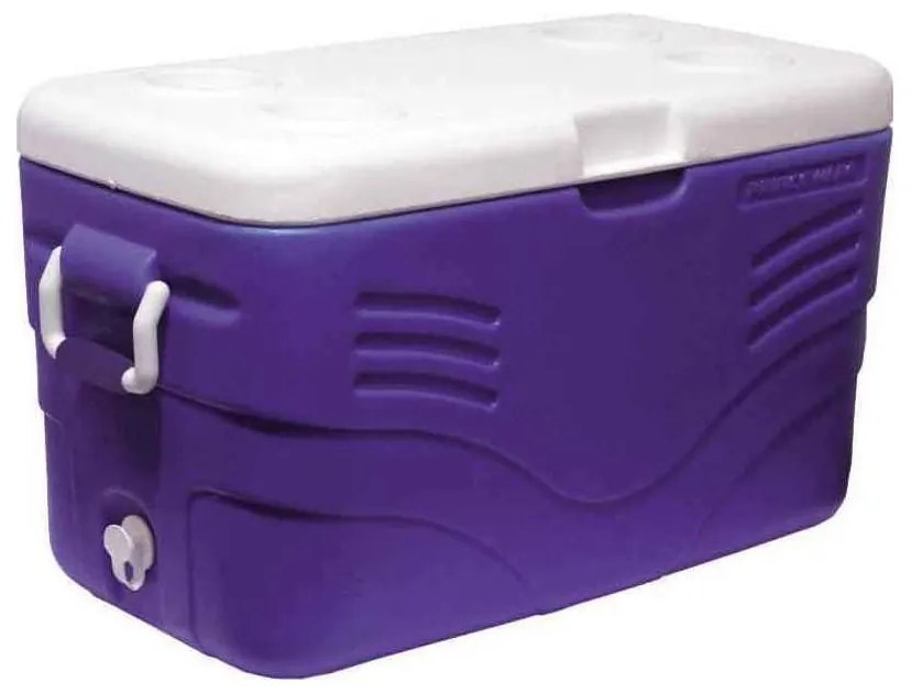 Ψυγείο Ισοθερμικό Campcool 48lt 22-04682