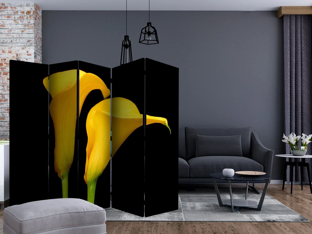 Διαχωριστικό με 5 τμήματα - Two yellow calla flowers on a black background II [Room Dividers]