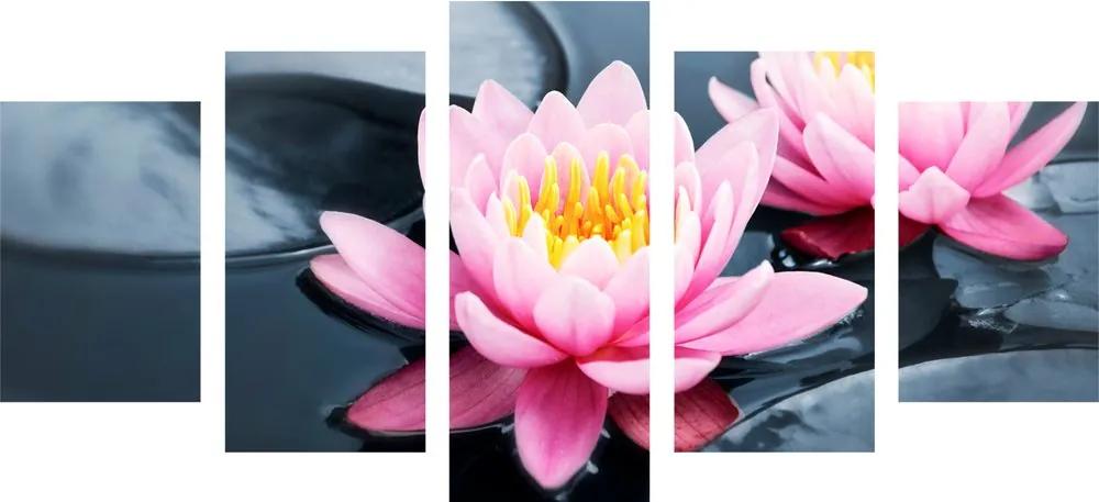 Εικόνα 5 μερών λουλούδι λωτού στη λίμνη - 100x50