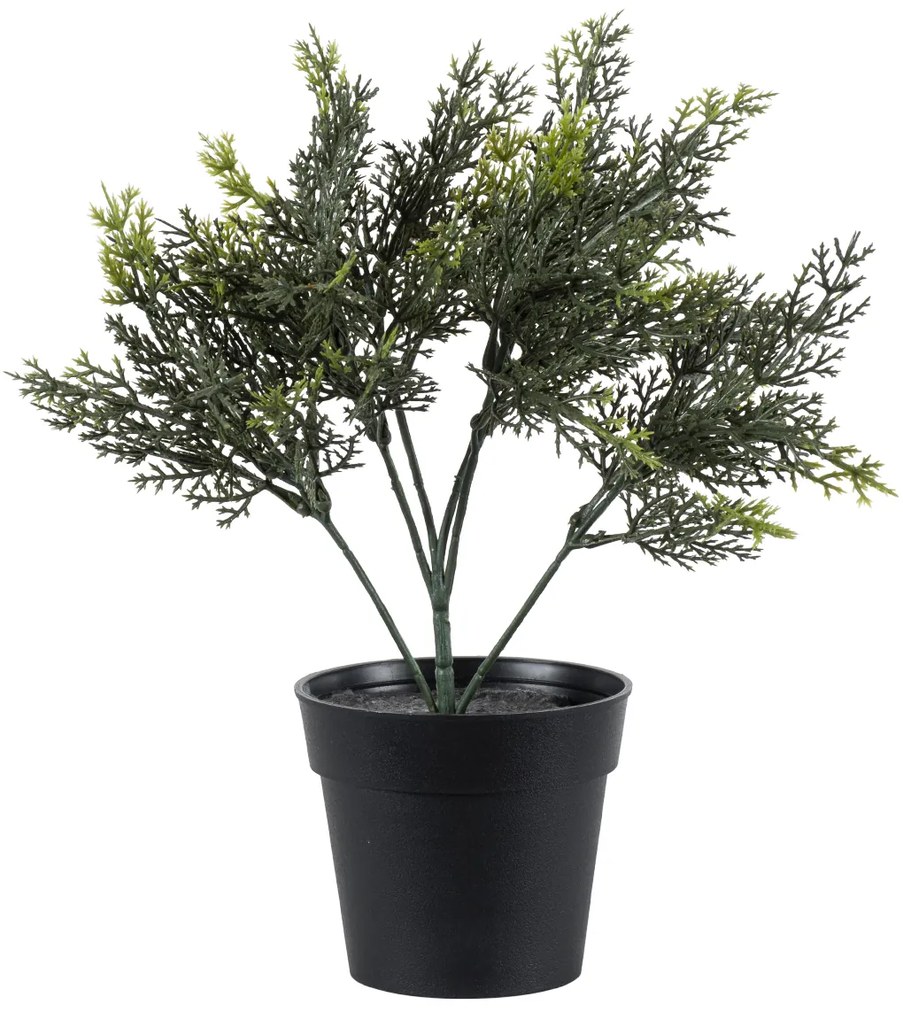 GloboStar® Artificial Garden LEMON CYPRESS 20389 Τεχνητό Διακοσμητικό Φυτό Λεμονόκυπάρισσο Υ30cm