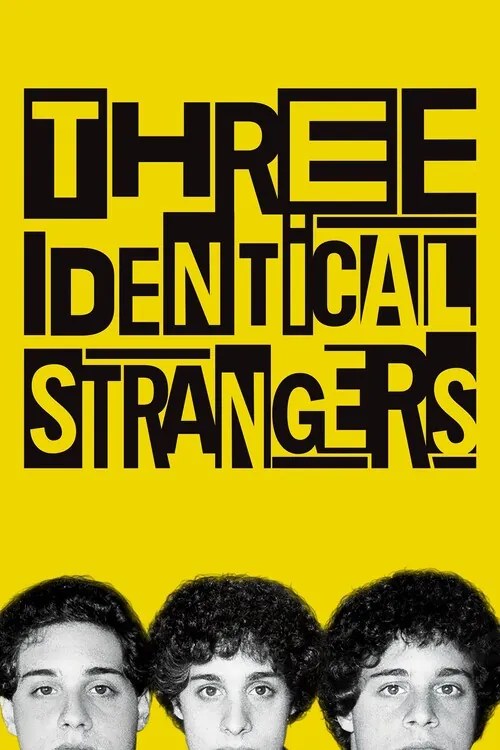 Εικονογράφηση Three Identical Strangers (2018)