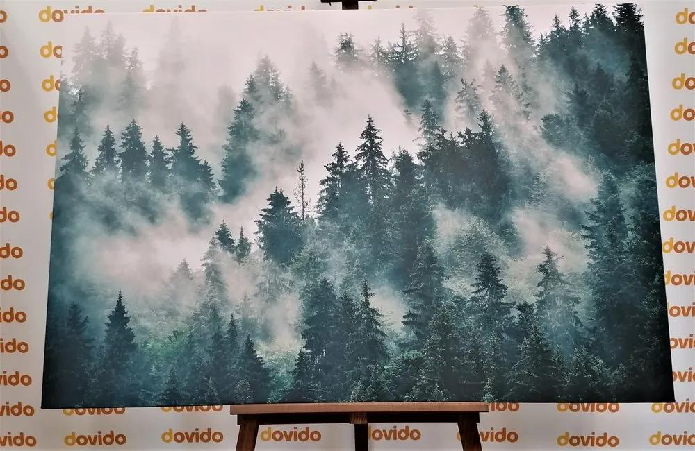 Εικόνα βουνά στην ομίχλη - 120x80