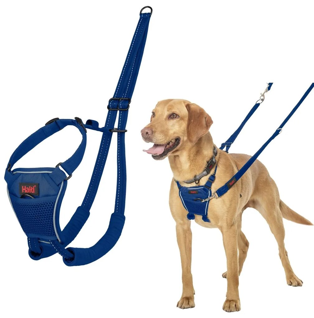 Λουρί Σκύλου Company of Animals COBALT Μπλε 12