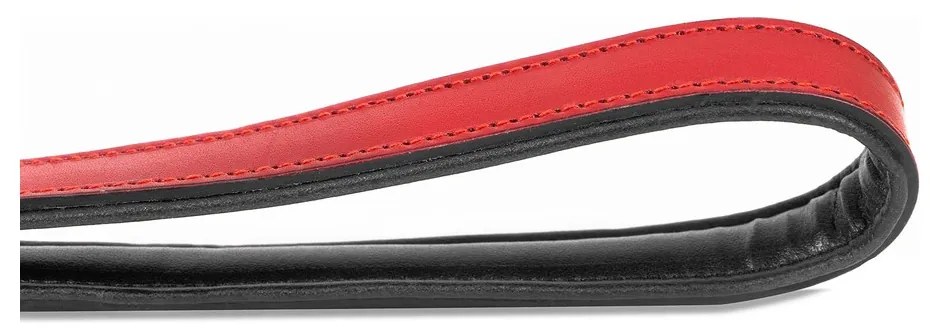 Λουρί Σκύλου Gloria 1.8 x 100 cm Κόκκινο