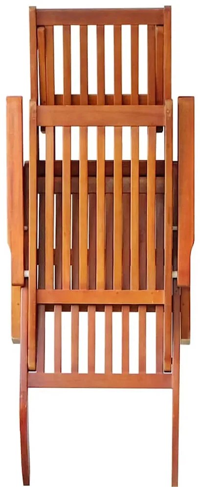 vidaXL Ξαπλώστρα Εξ. Χώρου με Υποπόδιο Μασίφ Ξύλο Ακακίας & Μαξιλάρι