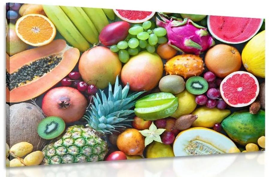 Εικόνα τροπικά φρούτα - 120x80