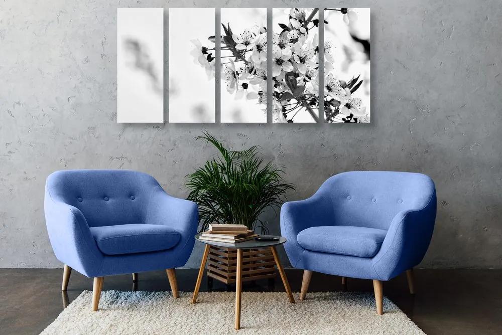 5 μέρη εικόνα λουλούδια κεράσια σε μαύρο & άσπρο - 200x100