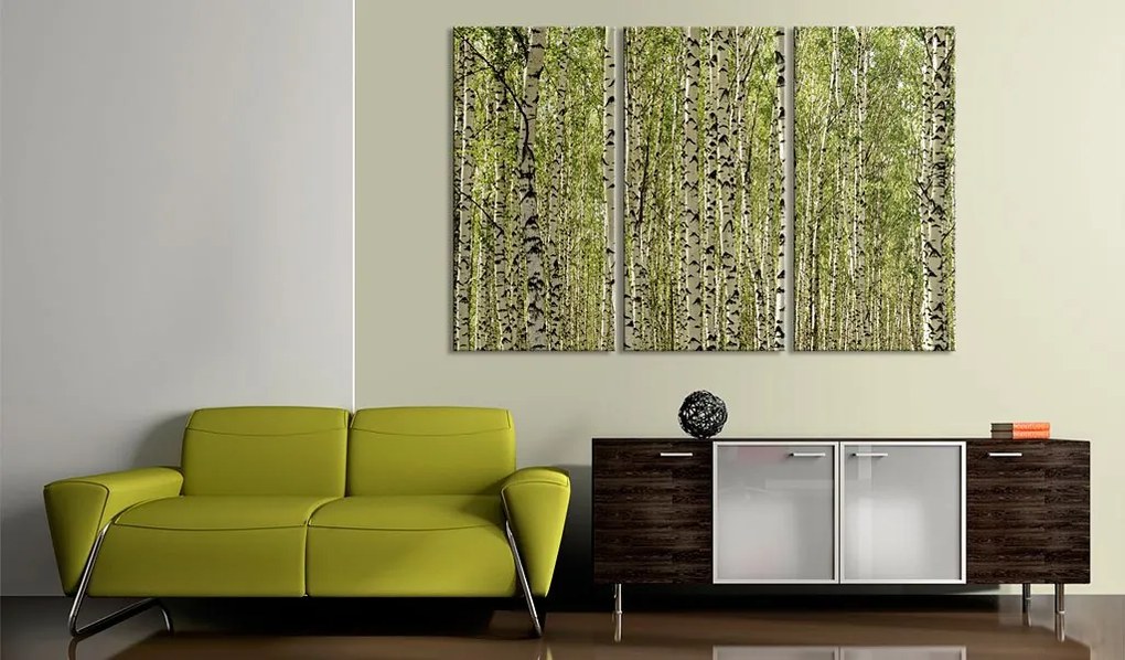 Πίνακας - A forest of birch trees - 120x80