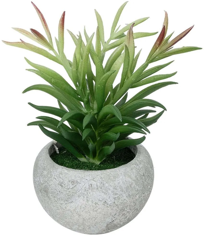 Τεχνητό Φυτό Σε Κασπώ Crassula 21038 Φ10x17cm Grey-Green GloboStar Clay,Polyethylene