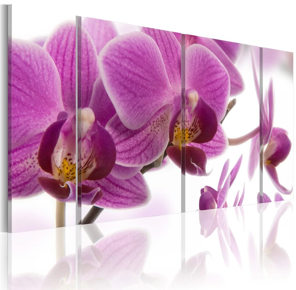 Πίνακας - Marvelous orchid 120x60