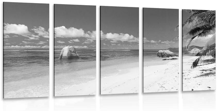 Εικόνα 5 μερών παραλία Anse Source σε ασπρόμαυρο - 200x100