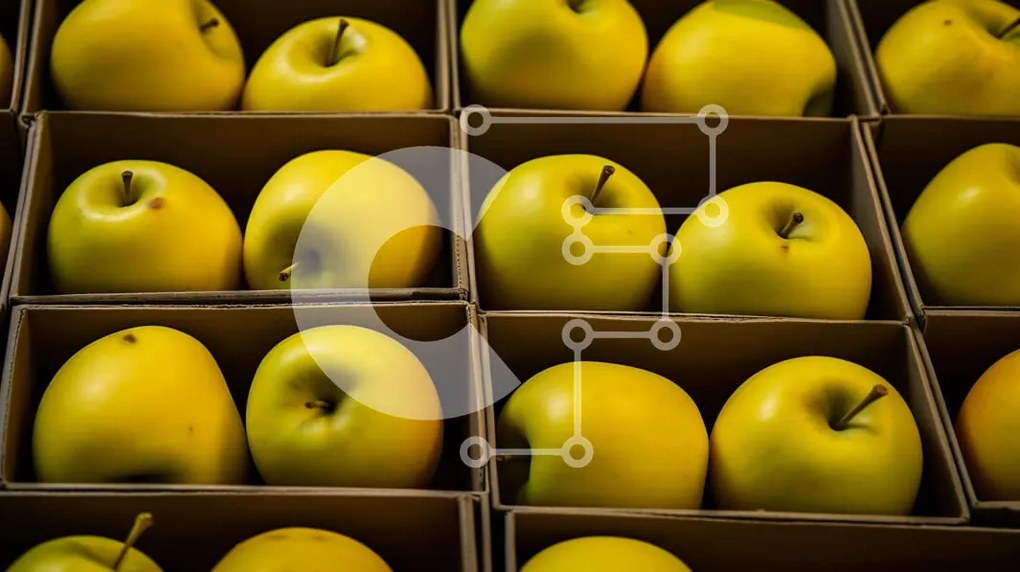 Σετ των 2 Intra Συλλεκτικό Ξύλινο Παζλ Plywood 4mm - Εμφάνιση κίτρινων μήλων σε χάρτινα κουτιά Σε Ξύλινο Κουτί - Διαστάσεις: 10x10 cm – 25 κομμάτια