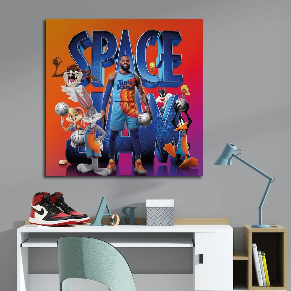 Πίνακας σε καμβά Space Jam KNV0598 40cm x 40cm