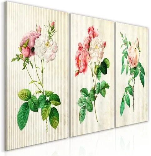 Πίνακας - Floral Trio (Collection) - 120x60