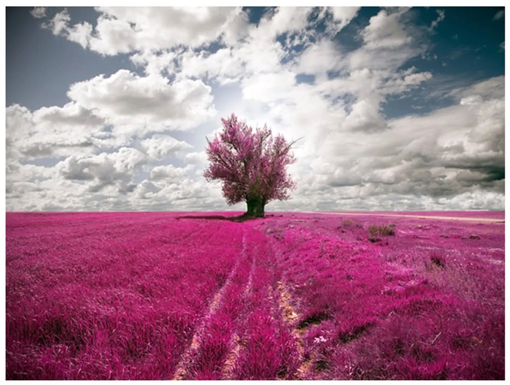 Φωτοταπετσαρία - Magenta meadow 200x154