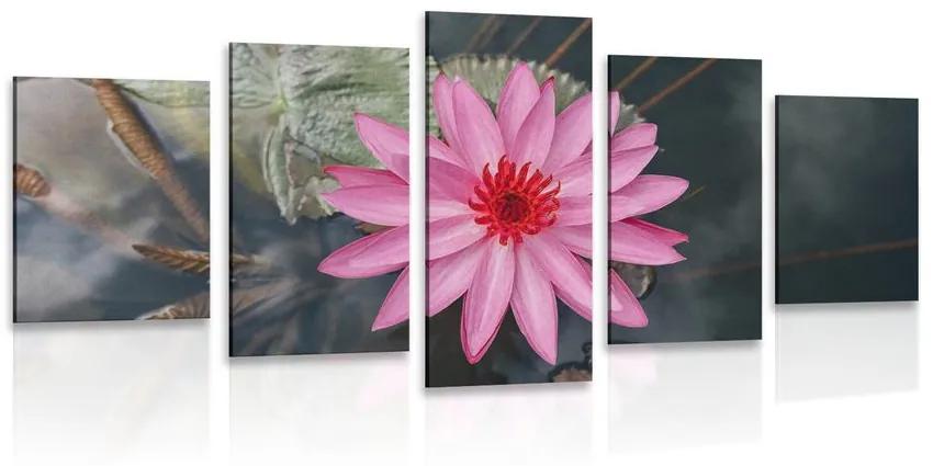 Εικόνα 5 τμημάτων μαγευτικό λουλούδι λωτού - 100x50