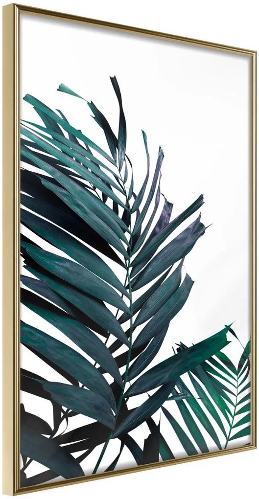 Αφίσα - Evergreen Palm Leaves - 20x30 - Χρυσό - Χωρίς πασπαρτού