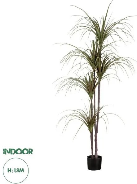 Artificial Garden DRAGON BLOOD TREE 20016 Τεχνητό Διακοσμητικό Φυτό Δράκαινα Υ180cm  Globostar-20016-Πράσινο 20016
