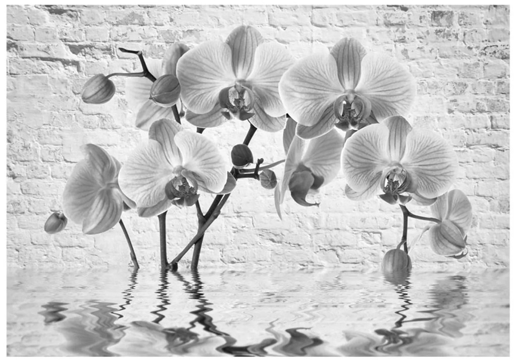 Φωτοταπετσαρία - Orchid in Shades of Gray 100x70
